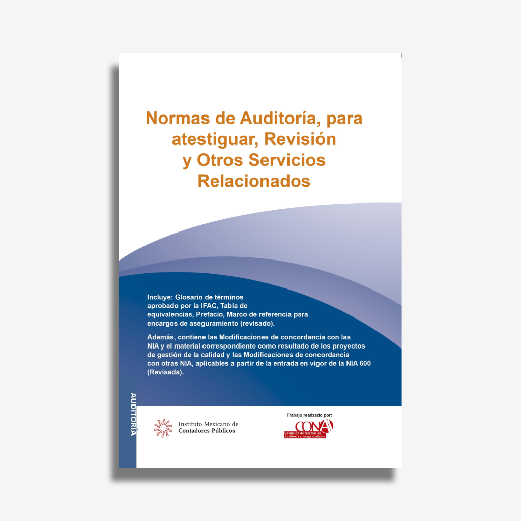 NIA 2024 Profesional (Normas de Auditoria, para Atestiguar)